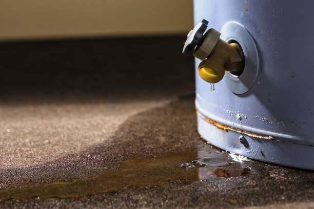  , USA Water damage restoration Pros